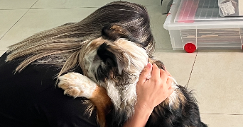 emilie pet sitter à MEYZIEU 69330_3