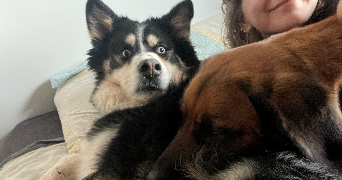 elise pet sitter à Montpellier 34070_6