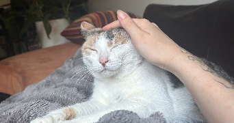 caroline pet sitter à OULLINS 69600_2