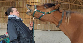 alicia pet sitter à BEAUTHEIL SAINTS 77120_1