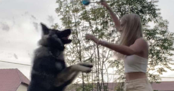 loane pet sitter à MORVILLARS 90120_2