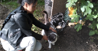 esmeralda pet sitter à POISSY 78300_6