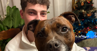 eléa pet sitter à ECOLE VALENTIN 25480_2