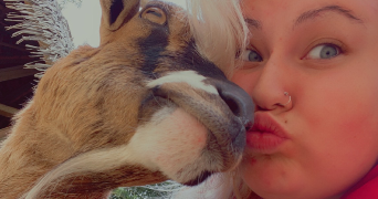 tahissia pet sitter à LA BOISSIERE DE MONTAIGU 85600_8