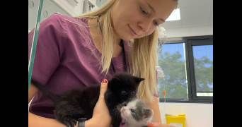 mathilde pet sitter à MAISONS ALFORT 94700_6