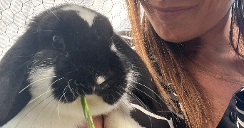 marie pet sitter à CISSAC MEDOC 33250_2