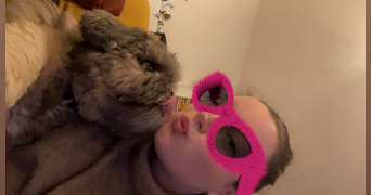solène pet sitter à ST DIZIER 52100_2