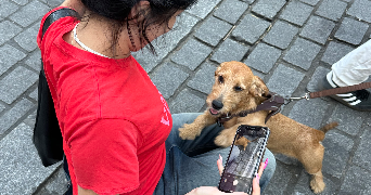luna pet sitter à PARIS 01 75001_1
