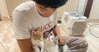 jade pet sitter à FOSSES 95470_1