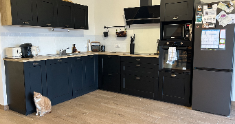 elvina cat sitter à LE PARC 50870_2