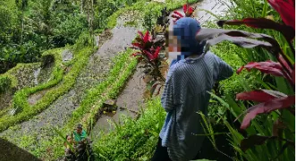 marion cat sitter à MONTBELIARD 25200