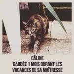 ingrid pet sitter à Carry-le-Rouet 13620