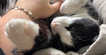 mattea pet sitter à ST LEU LA FORET 95320_3