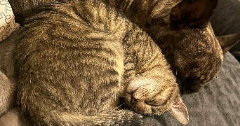 patricia pet sitter à VILLEURBANNE 69100_2
