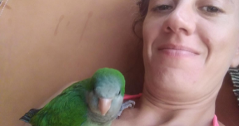 Alessia pet sitter à MONTREUIL 93100_1