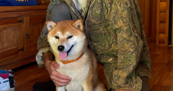 aleksandr pet sitter à LYON 01 69001_1