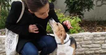maelis pet sitter à ROUEN 76000