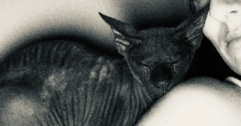 nelsa pet sitter à CERNEX 74350_4