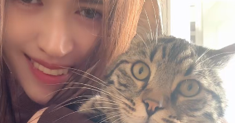 mimi pet sitter à LE HAVRE 76600_0