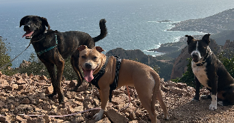 esther pet sitter à AURIBEAU SUR SIAGNE 06810_11