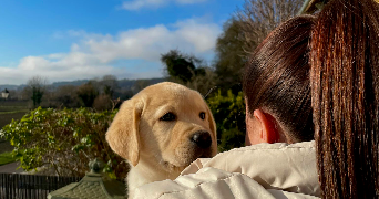 léa pet sitter à MALAUNAY 76770_1