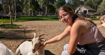 emma pet sitter à GUERVILLE 78930