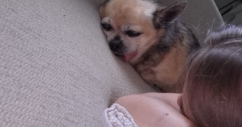 sabrina pet sitter à LYON 08 69008_1