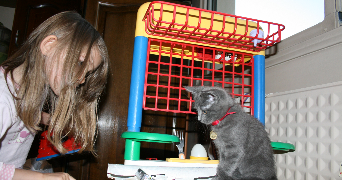 hermine pet sitter à BRON 69500_7
