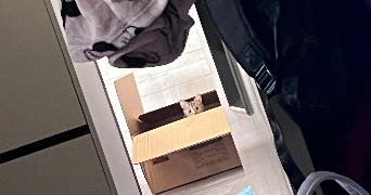 déborah pet sitter à NANTES 44300_3