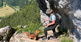 ilona pet sitter à Saint mar de loquenay 72440_1