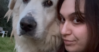 stella pet sitter à  13013