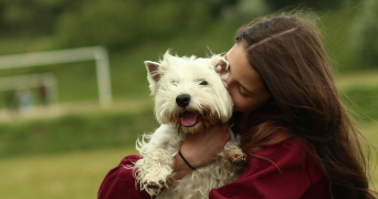 chloée pet sitter à VITRY SUR SEINE 94400_1