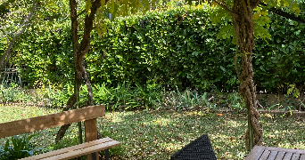 rosella pet sitter à LE PRADET 83220_5