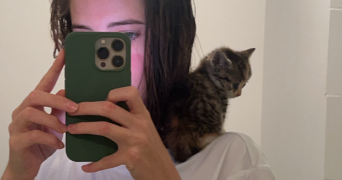 anaelle pet sitter à CHATEAU GONTIER SUR MAYENNE 53200_0