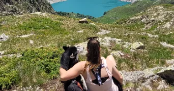 charlotte pet sitter à LE PONT DE CLAIX 38800
