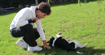 evan pet sitter à INZINZAC LOCHRIST 56650_2