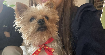 axelle pet sitter à wailly 62217_5