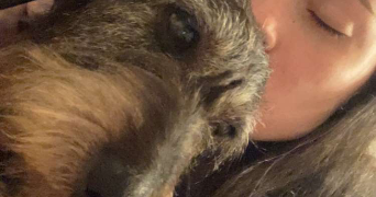 lilou pet sitter à FONTAINE 38600_1