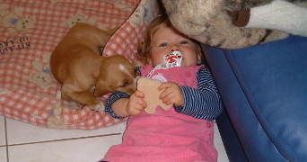 enora pet sitter à PLERIN 22190_0