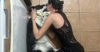 thémis pet sitter à PARIS 03 75003_5