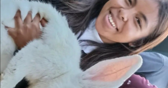 manitrin'ny aina mihaja pet sitter à CACHAN 94230_2
