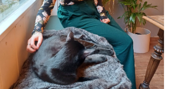 aurore pet sitter à ARCUEIL 94110_1