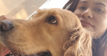 natchasorn dog sitter à MOLSHEIM 67120_2