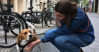 marine pet sitter à ISSY LES MOULINEAUX 92130