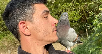 jimmy pet sitter à ST GOAZEC 29520
