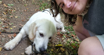 catinca pet sitter à QUIMPER 29000_4