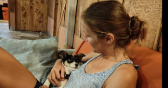 alexia pet sitter à WISSOUS 91320_0