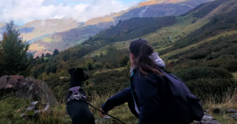 lisa pet sitter à ASTAFFORT 47220_5