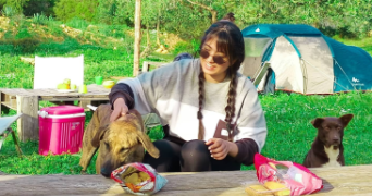 wejdene cat sitter à NANTES 44000_1