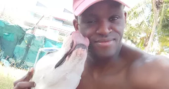 abel pet sitter à CORQUILLEROY 45120